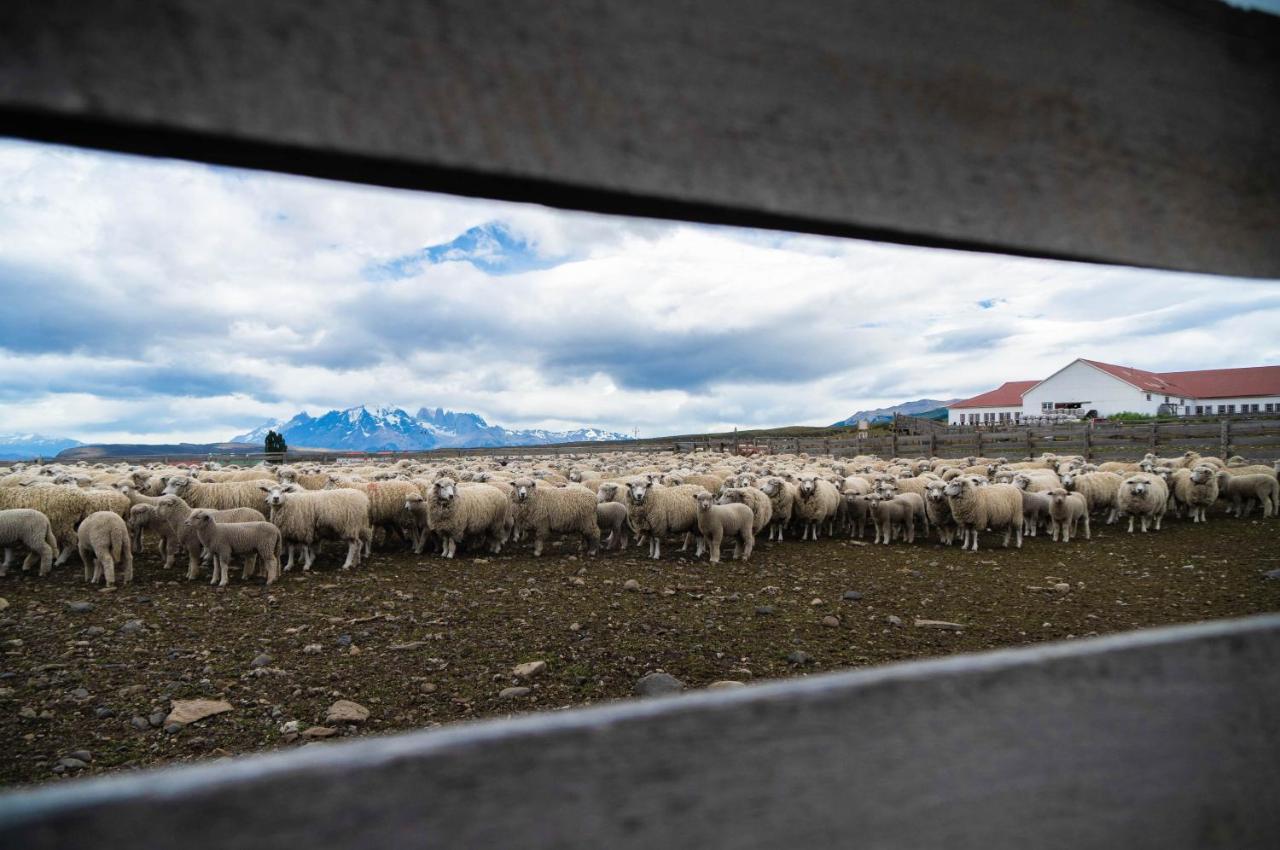 Estancia Cerro Guido Torres del Paine Nemzeti Park Kültér fotó