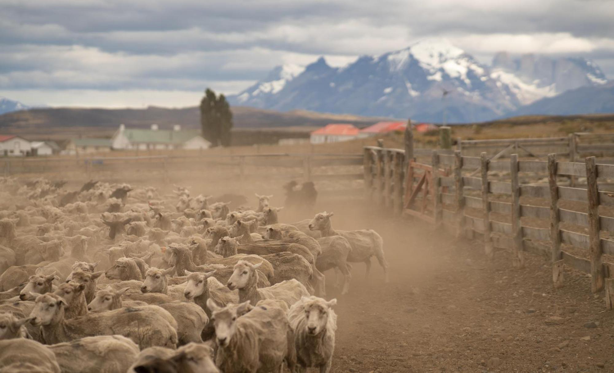 Estancia Cerro Guido Torres del Paine Nemzeti Park Kültér fotó
