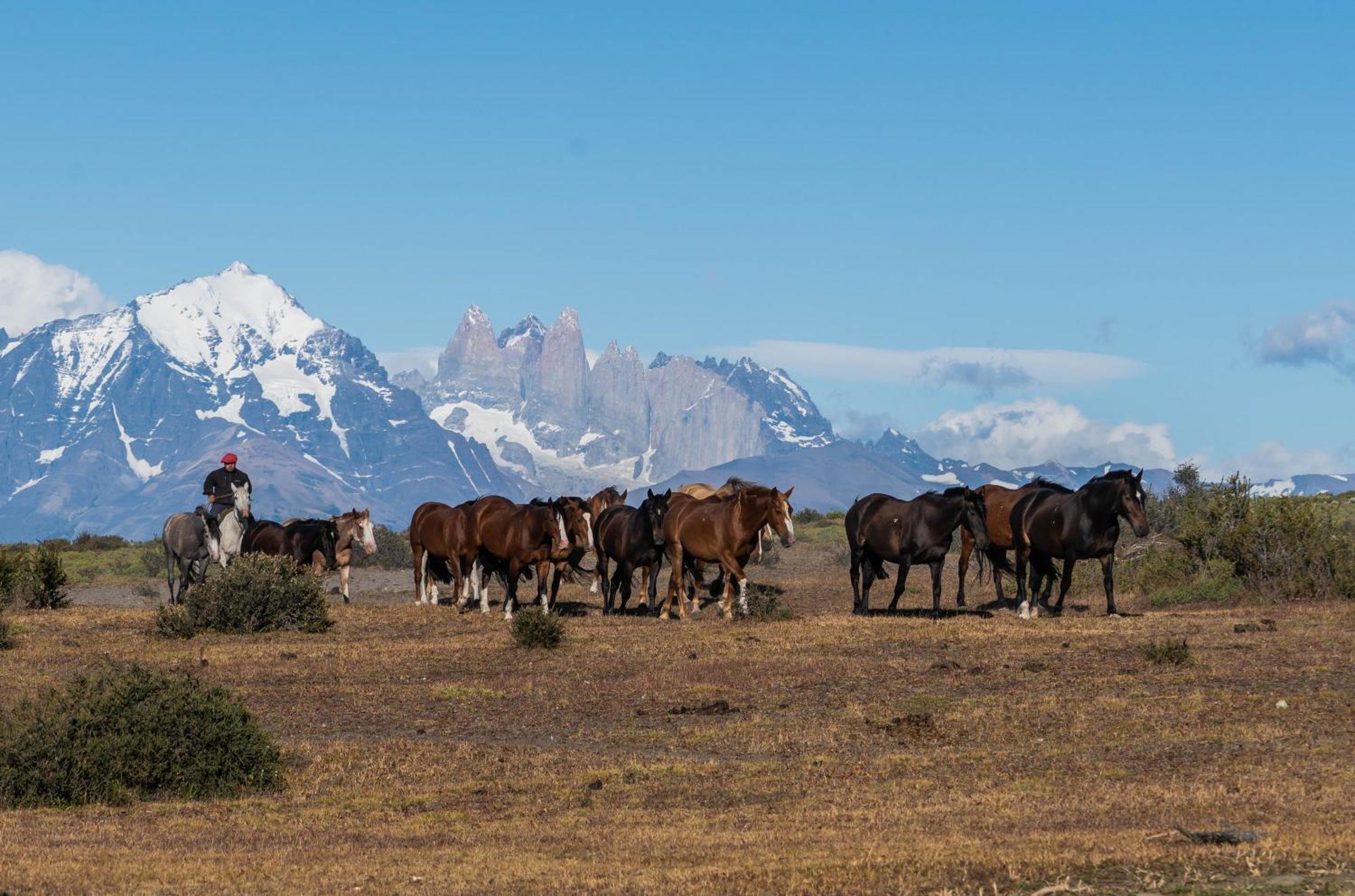 Estancia Cerro Guido Torres del Paine Nemzeti Park Kültér fotó